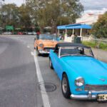 Group Run To Williamstown - 1st September 2026 - Wattle Day